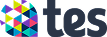 Tes Institute